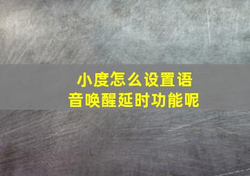 小度怎么设置语音唤醒延时功能呢