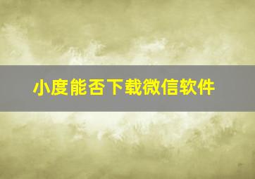 小度能否下载微信软件