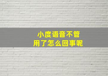 小度语音不管用了怎么回事呢