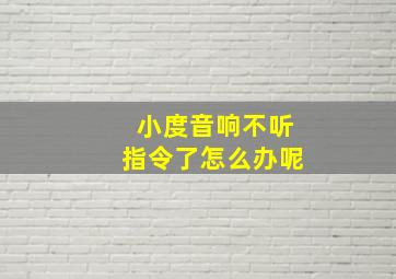 小度音响不听指令了怎么办呢