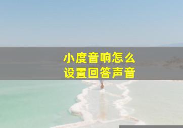 小度音响怎么设置回答声音