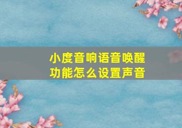 小度音响语音唤醒功能怎么设置声音