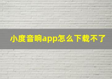 小度音响app怎么下载不了