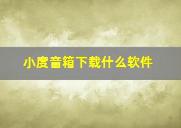 小度音箱下载什么软件