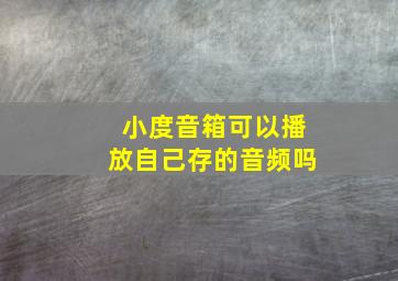 小度音箱可以播放自己存的音频吗