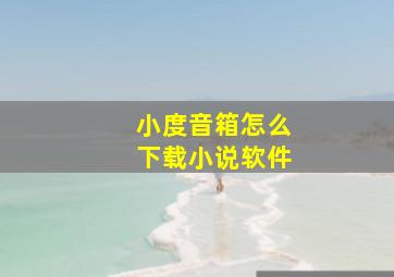 小度音箱怎么下载小说软件