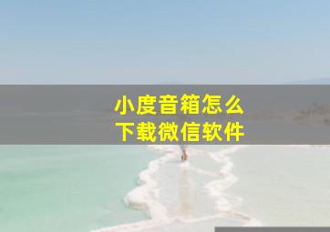 小度音箱怎么下载微信软件