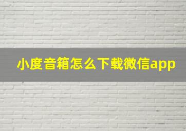 小度音箱怎么下载微信app