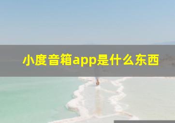 小度音箱app是什么东西