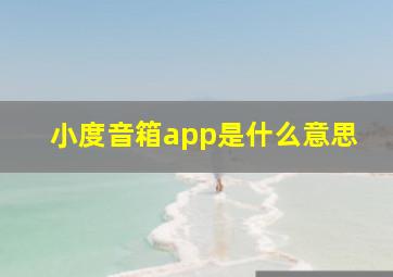 小度音箱app是什么意思