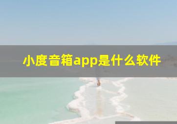 小度音箱app是什么软件