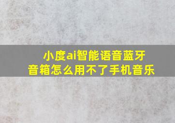 小度ai智能语音蓝牙音箱怎么用不了手机音乐