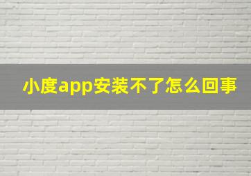 小度app安装不了怎么回事