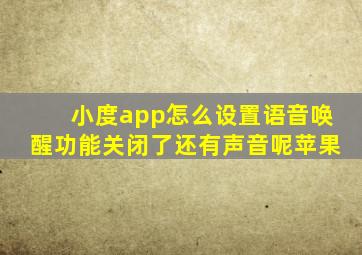 小度app怎么设置语音唤醒功能关闭了还有声音呢苹果