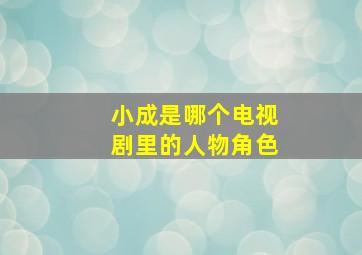 小成是哪个电视剧里的人物角色