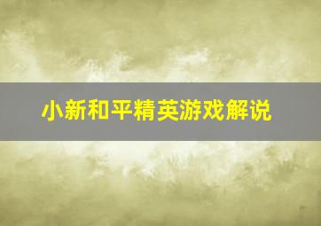 小新和平精英游戏解说