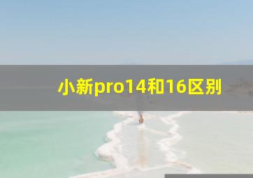 小新pro14和16区别