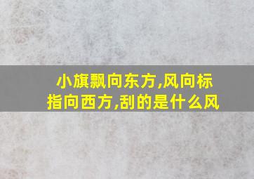 小旗飘向东方,风向标指向西方,刮的是什么风