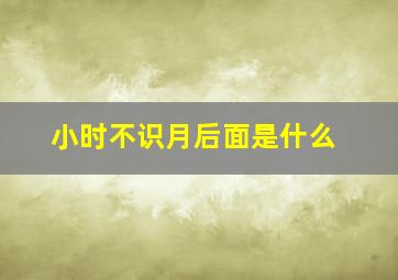 小时不识月后面是什么