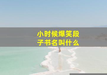 小时候爆笑段子书名叫什么