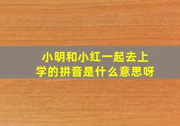 小明和小红一起去上学的拼音是什么意思呀