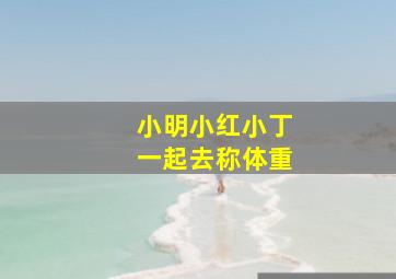 小明小红小丁一起去称体重