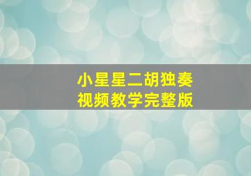 小星星二胡独奏视频教学完整版