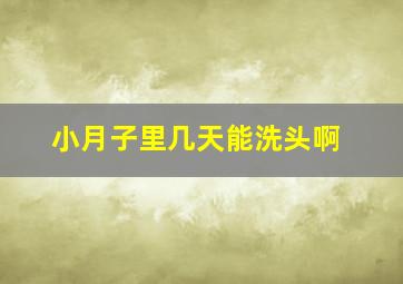 小月子里几天能洗头啊