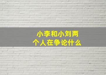 小李和小刘两个人在争论什么