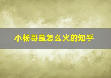 小杨哥是怎么火的知乎