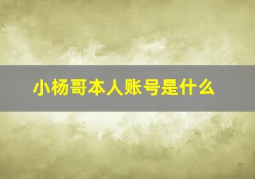 小杨哥本人账号是什么