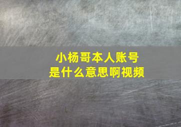 小杨哥本人账号是什么意思啊视频