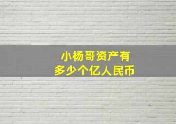 小杨哥资产有多少个亿人民币