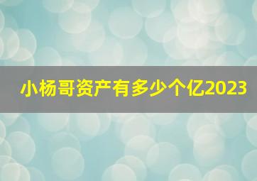 小杨哥资产有多少个亿2023