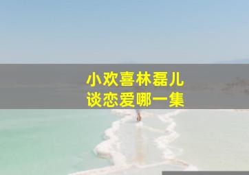 小欢喜林磊儿谈恋爱哪一集