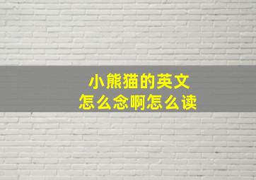 小熊猫的英文怎么念啊怎么读