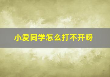 小爱同学怎么打不开呀