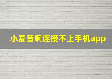 小爱音响连接不上手机app