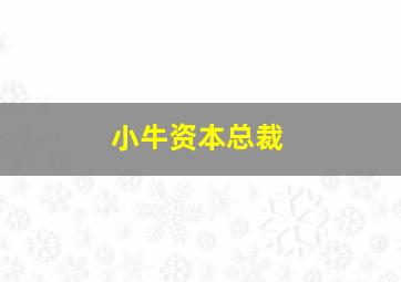 小牛资本总裁