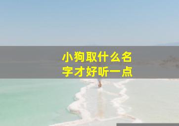 小狗取什么名字才好听一点