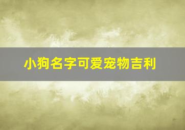 小狗名字可爱宠物吉利