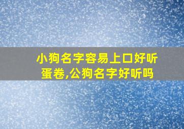 小狗名字容易上口好听蛋卷,公狗名字好听吗