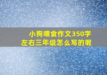 小狗喂食作文350字左右三年级怎么写的呢