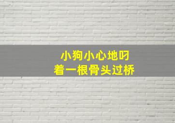 小狗小心地叼着一根骨头过桥