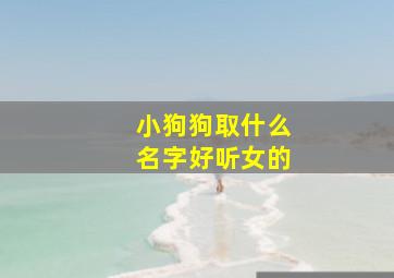 小狗狗取什么名字好听女的