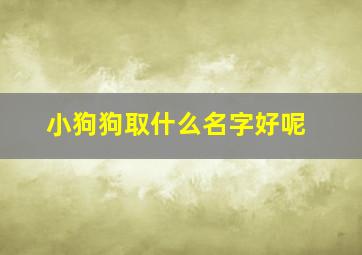 小狗狗取什么名字好呢