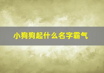 小狗狗起什么名字霸气