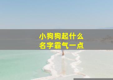 小狗狗起什么名字霸气一点