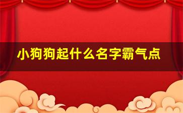 小狗狗起什么名字霸气点