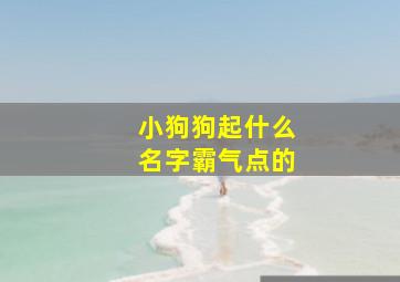 小狗狗起什么名字霸气点的